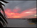 Post The Latest Picture You Have Taken-florida-new-years-2013-237.jpg