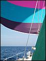 Post The Latest Picture You Have Taken-spinnaker-sailing-2.jpg