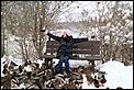 Post The Latest Picture You Have Taken-ducks.jpg