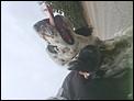 Random stuff - the anything else thread-img_7516.jpg