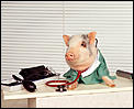 Goggle box- anything worth watching on TV?-doctor-oink-will-see-you-now.jpg