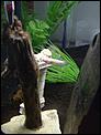 Random stuff - the anything else thread-betta.jpg