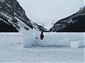 snow scenes-ice-sculpture-lake-louise1.jpg