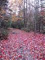 Autumn/Fall Pics Wanted-grist-mill.jpg