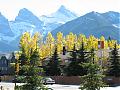 Autumn/Fall Pics Wanted-fall-canmore.jpg