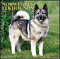 Dog Breeders?-norwegian.jpg