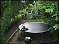 trampolines-107_0769.jpg