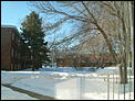 Winter-view-appt..jpg