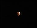 The eclipse has started in Saskatchewan-lunar-eclipse-small-.jpg