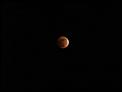 The eclipse has started in Saskatchewan-total-eclipse3-small-.jpg