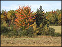 Fall photos time-colours-13.jpg