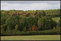 Fall photos time-colours-11.jpg