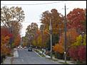 Fall photos time-drummondstreet.jpg