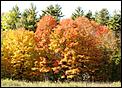 Fall photos time-oak-hills-oct-08-052-.jpg
