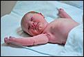 I made a Canadian...-baby-kate-march-21-22-007-large-.jpg