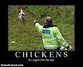 Police motivational posters.-chickens-no-respect-law-demotivational-poster.jpg