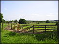 Spring coming early again.-sheep-fencing-039.jpg