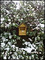 Some snowy pics for those who need a snow fix at xmas.-19122009359.jpg