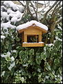Some snowy pics for those who need a snow fix at xmas.-19122009360.jpg