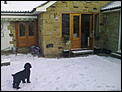 Some snowy pics for those who need a snow fix at xmas.-19122009371.jpg