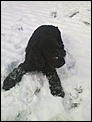 Some snowy pics for those who need a snow fix at xmas.-19122009365.jpg