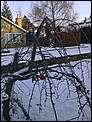 Some snowy pics for those who need a snow fix at xmas.-21122009380.jpg