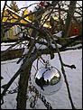 Some snowy pics for those who need a snow fix at xmas.-21122009382.jpg