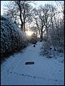 Some snowy pics for those who need a snow fix at xmas.-dsc00935.jpg