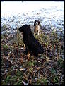 Dogs, as Requested-dsc00009.jpg