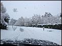 Snowed in today!-photo-6-.jpg