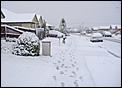 Snowed in today!-p1030763-copy.jpg