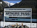 Things you would never have done before you got to NZ - upbeat stuff-dscf2781.jpg