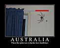 A good reason to live in NZ-health-bar-spider.jpg