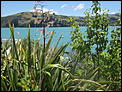 NZ Summer 2012/2013 Picture Thread - all photos welcome-011.jpg