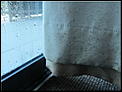 Moving to Auckland-condensation.jpe