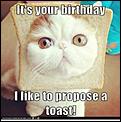 happy birthday to Bevs-cat-wishes-happy-birthday-also-offers-toast.jpg