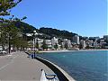 more pics of wellington including shed 5-beach.jpg