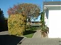 The Great New Zealand picture thread-back-view-driveway.jpg