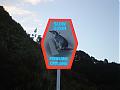 The Great New Zealand picture thread-penguins-crossing.jpg