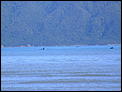 If you went down to the beach today........-2007_0408orca_whales0058.jpg