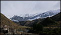 The Great New Zealand picture thread-p1010058.jpg