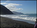 The Great New Zealand picture thread-dsc04763.jpg