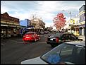 The Great New Zealand picture thread-dsc04567.jpg