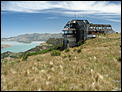 The Great New Zealand picture thread-img_3292_resize.jpg