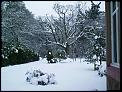 and now its snow time-sues-garden-3.jpg