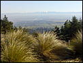 Nice Life in New Zealand-chch-views-002.jpg