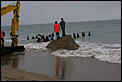 Orca washed up on Papamoa Beach-whale-saving-sept-08-038.jpg