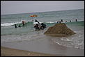Orca washed up on Papamoa Beach-whale-saving-sept-08-039.jpg