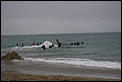 Orca washed up on Papamoa Beach-whale-saving-sept-08-043.jpg