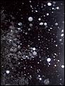 Tonbridge in the snow!-100_3059.jpg